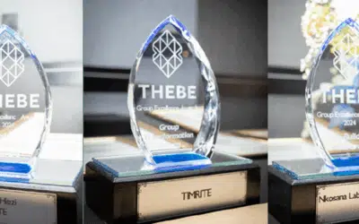 TIMRITE SHINES AT THE THEBE EXCELLENCE AWARDS